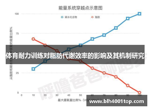 体育耐力训练对脂肪代谢效率的影响及其机制研究