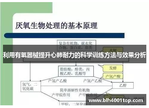 利用有氧器械提升心肺耐力的科学训练方法与效果分析